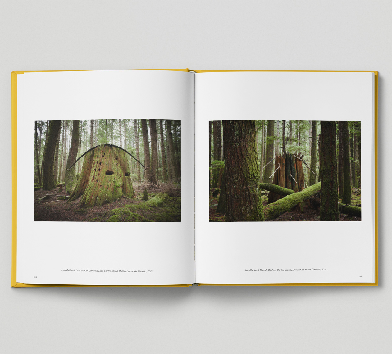 1Looking_at_Trees-Spread-David_Ellingsen-4