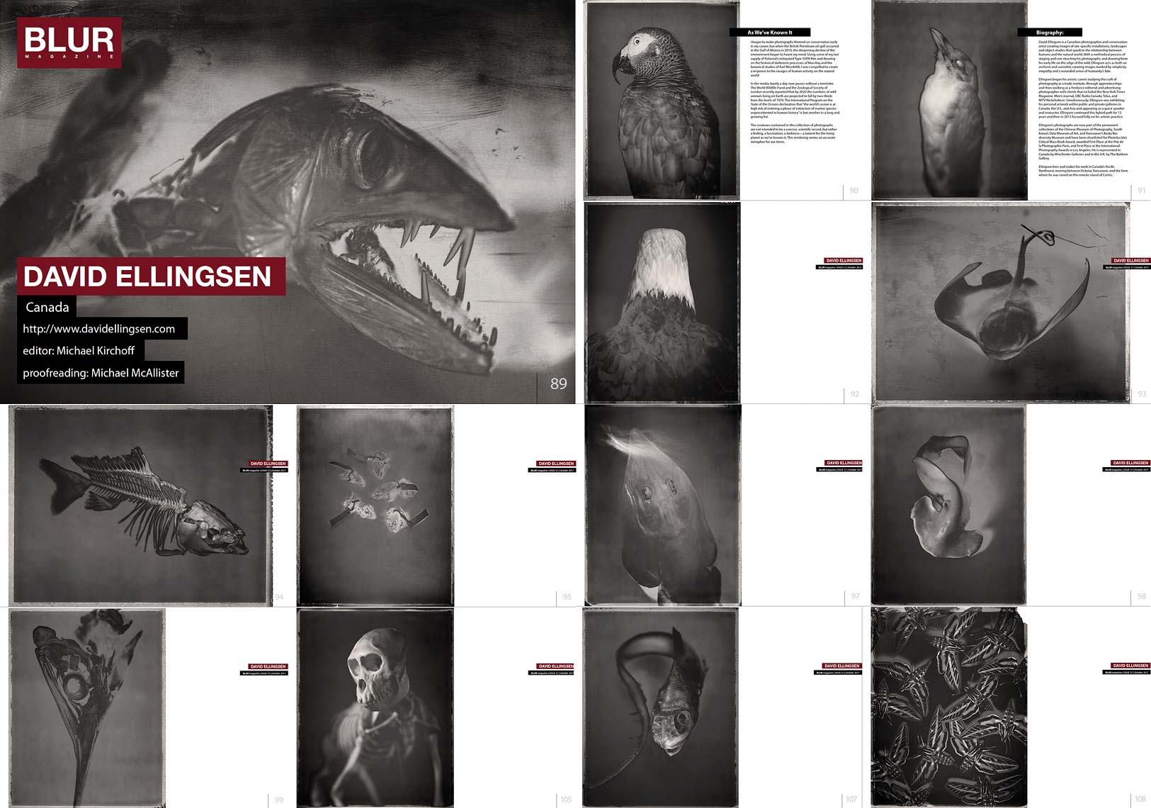 BlurMag-spread