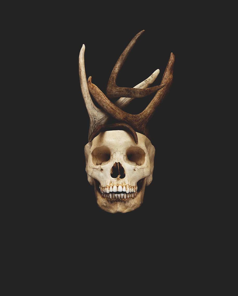 DavidEllingsen-Anthropocene-GhostOfTheForest