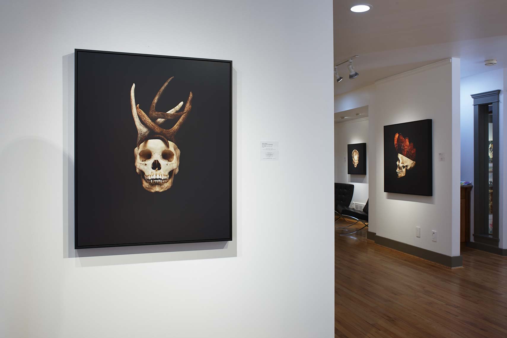 DavidEllingsen-Anthropocene-Installation4