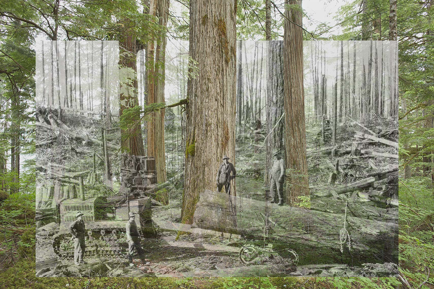  Falling Boundaries - Former Shadow Future - Environmental  Art Photograph