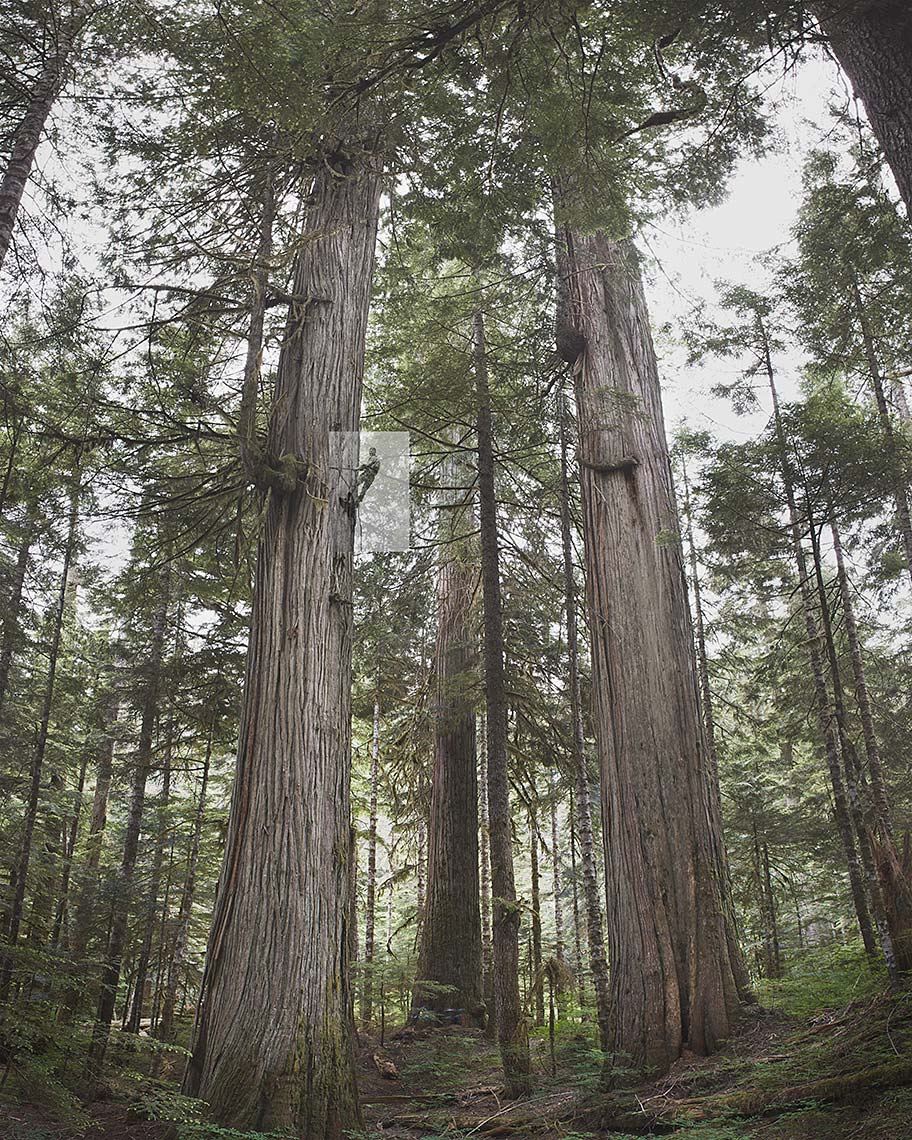  Falling Boundaries - High Rigging - Environmental  Art Photographs