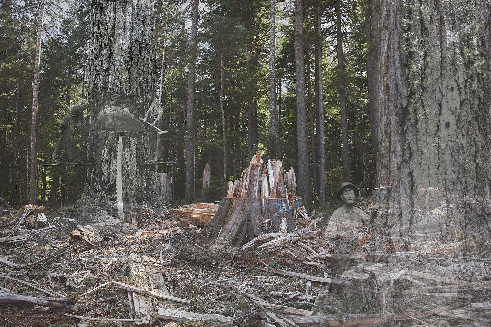  Falling Boundaries - Misery Whips and Double Bits - Environmental  Art Photograph Logging