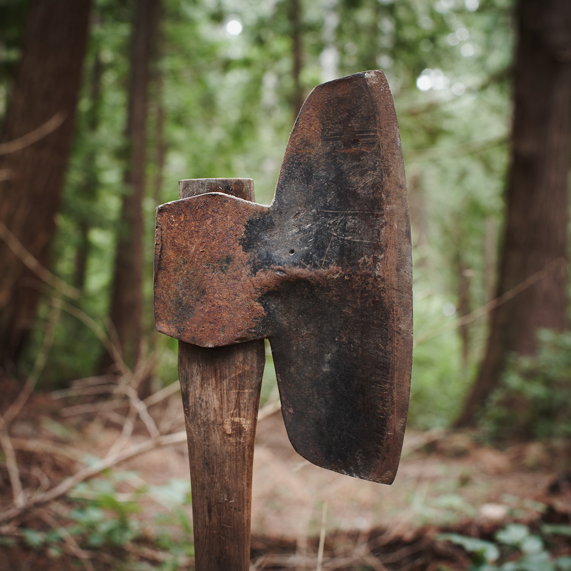 DavidEllingsen-TheLastStand-BroadAxe