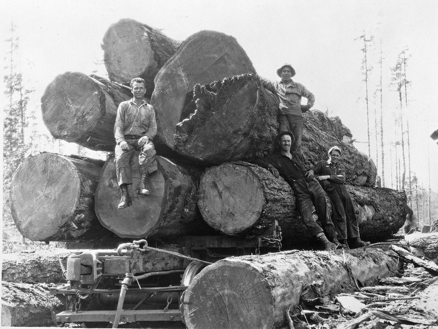 historic logging photograph for fine art photography project falling boundaries