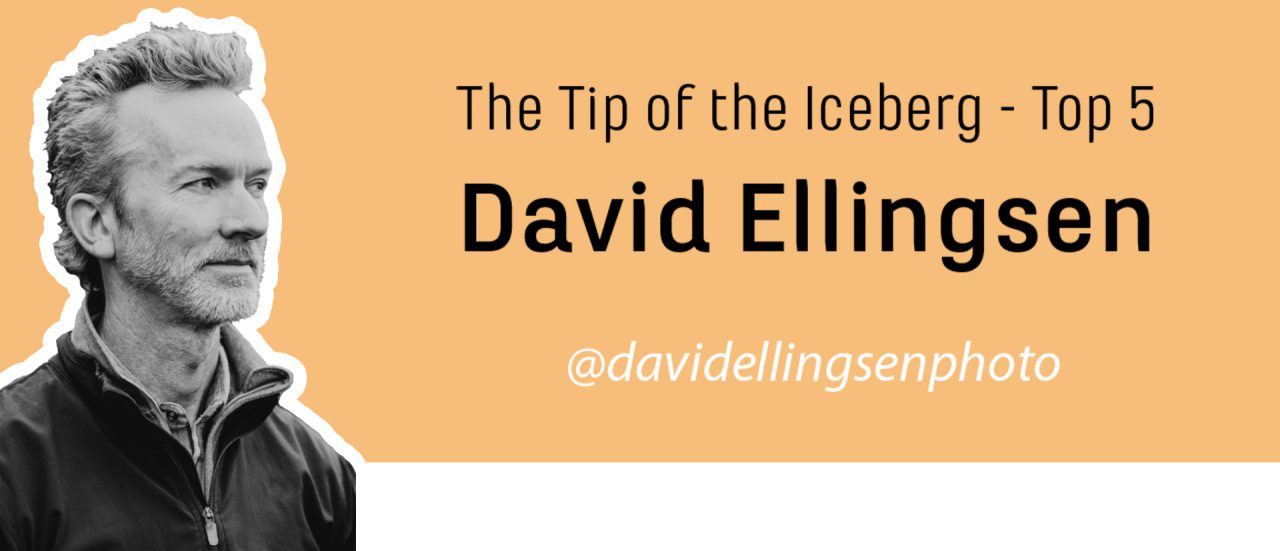 top 5 resources from david ellingsen about climate change and environmental themes